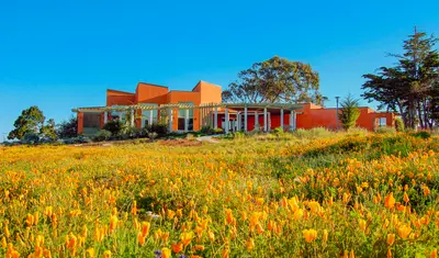 A photo of the AVC building
