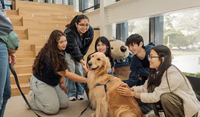 Five students sitting in front of a large monte plushe in the OSU petting Blue the therapy dog.