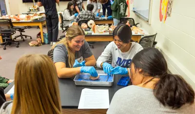 Kinesiology  students in classroom