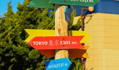 Colorful directional signs highlight global destinations and study abroad opportunities, symbolizing international learning and exploration.