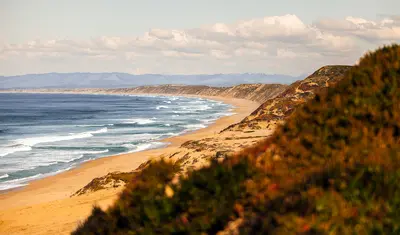 picture of the beach