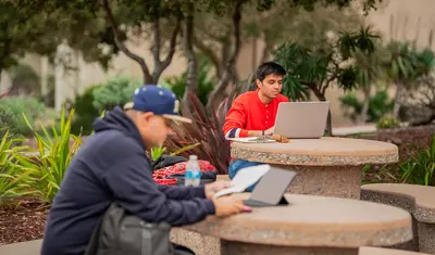 Students studying