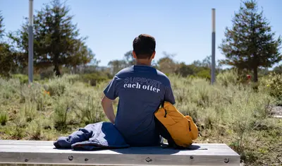 Mental health and wellness