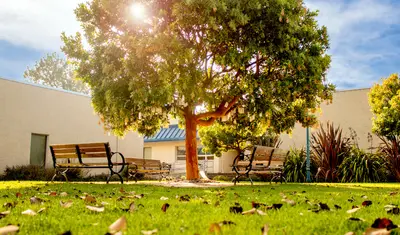 RND Amphitheater