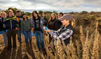 Students group up in front of a professor to see her holding up a field mouse.