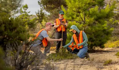 Three students in safety vests work together to survey a tree sapling.