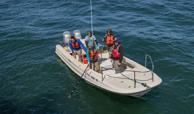 A group of four students and a professor on a boat with life jackets on lowering a pole into the ocean