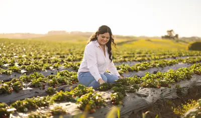 An agricultural, plant and soil science student sitting in a field looking at the crops.