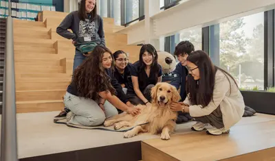Five students sitting in front of a large monte plushe in the OSU petting Blue the therapy dog.