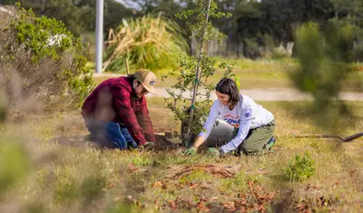 Two students planting a tree outside together.