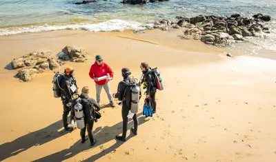 Scuba divers team on the beach