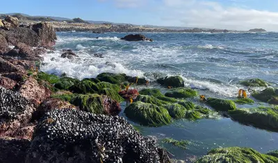 Monterey Bay National Marine Sanctuary