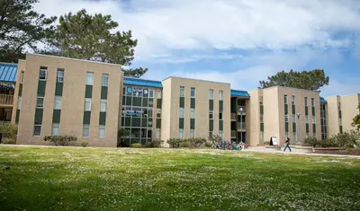 Exterior of Willett Hall with daises blooming on the grass in front of the building and a student walking.