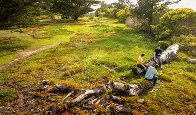 Students sitting on a log in nature from with a drone camera