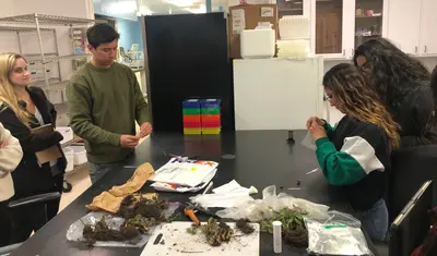 Students studying plants in the AGPS program
