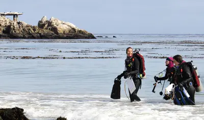 Student divers emerge from Monterey Bay after working on a scientific study.