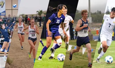 Photo: Collage of athletes performing their sports