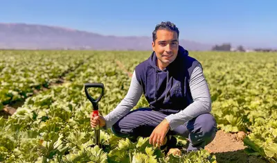 J.P. Dundore-Arias lettuce field