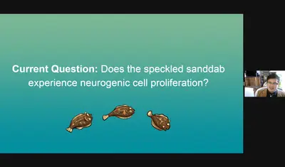 Screenshot: Spencer winter presenting on the sanddab via Zoom