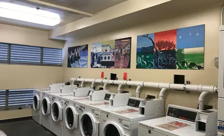 Washing machines at Pinnacles building outfitted with gray water diversion pipes