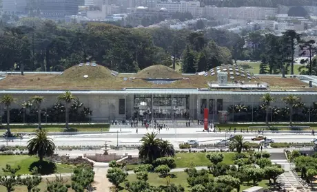 A panorama of the California Academy of Sciences in San Francisco's Golden Gate Park
