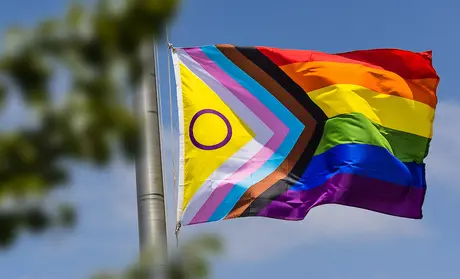 The intersex Pride flag on CSUMB's main flagpole.