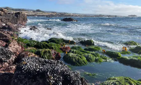 Monterey Bay National Marine Sanctuary