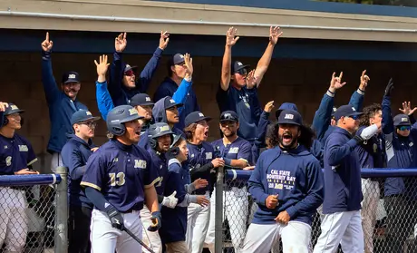 Otters baseball team celebrates