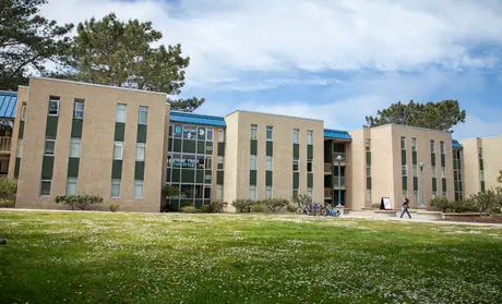 Exterior of Willett Hall with daises blooming on the grass in front of the building and a student walking.