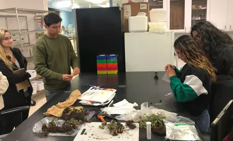 Students studying plants in the AGPS program