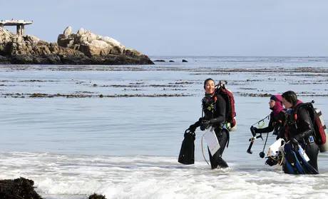 Student divers emerge from �鶹�� after working on a scientific study.