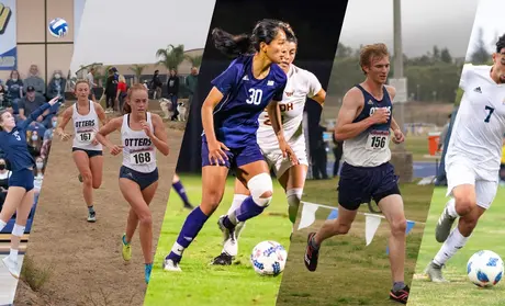 Photo: Collage of athletes performing their sports