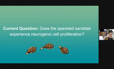 Screenshot: Spencer winter presenting on the sanddab via Zoom