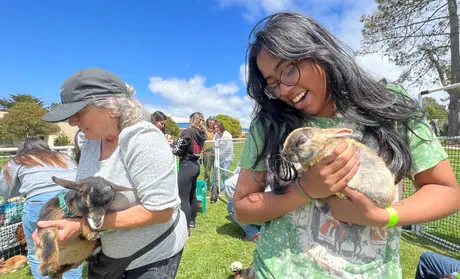 Varsha Punati, petting zoo, finals week