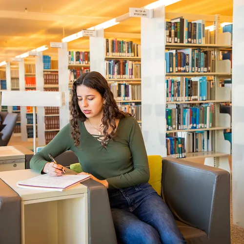 A student studying in the library
