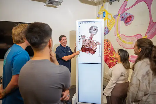 Instructor in front of a large screen with a human skeleton on the screen teaching a group of 4 students