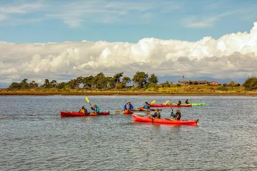 Students kayak together on calm coastal waters, experiencing hands-on learning in the region’s natural environment.