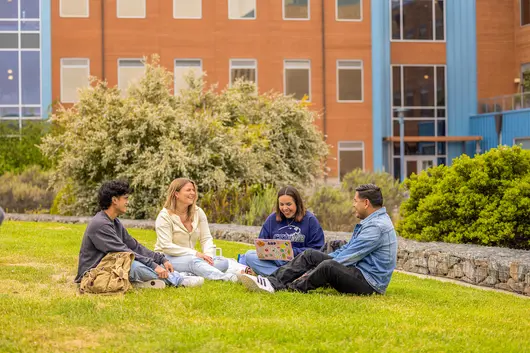 Group of students sitting on the grass in front of the Chapman Science Building.