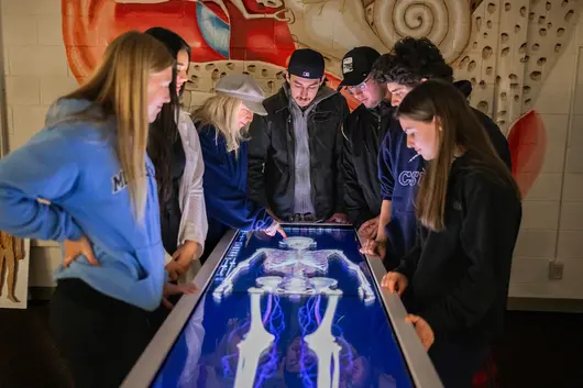 Group of students gathered around an interactive anatomy table examining a digital skeleton display together in a classroom.