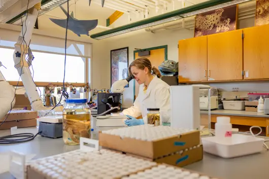 Student working independently in a lab while wearing a lab coat.