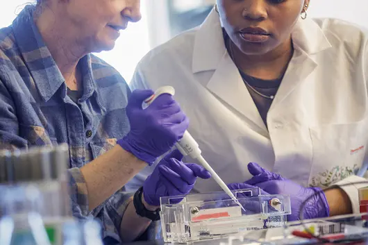 A professor and a student working in the lab