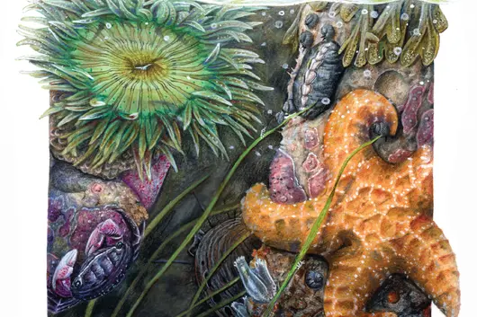 Science Illustration