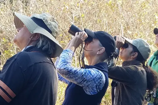OLLI students bird watching