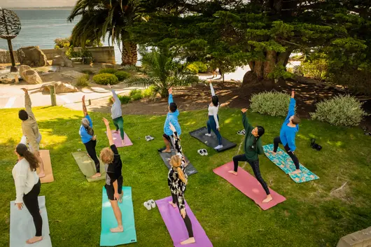 a yoga class outdoors