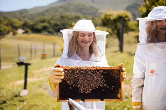 A student in a beekeeping suit holding a honeycomb and looking down at it smiling