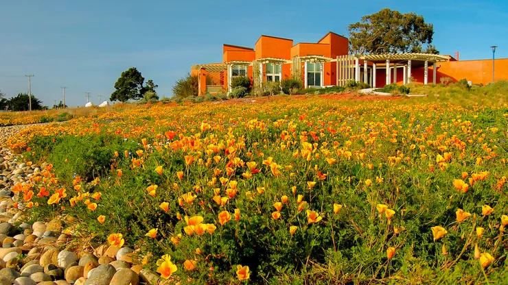 Giving | California State University Monterey Bay