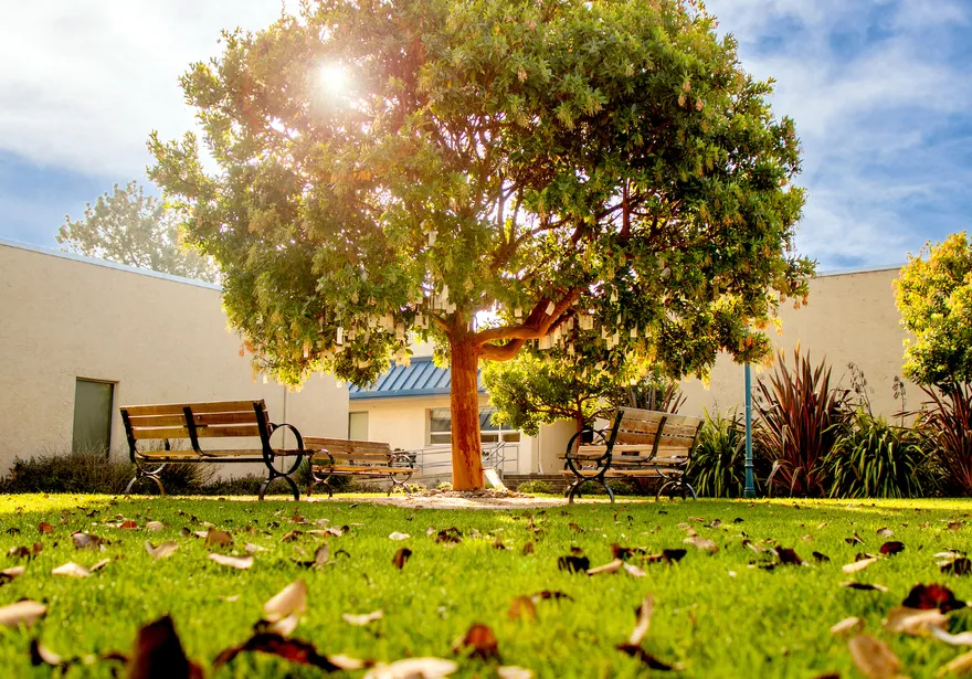 RND Amphitheater