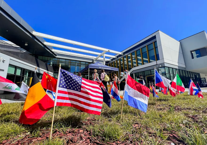 Image of Flags