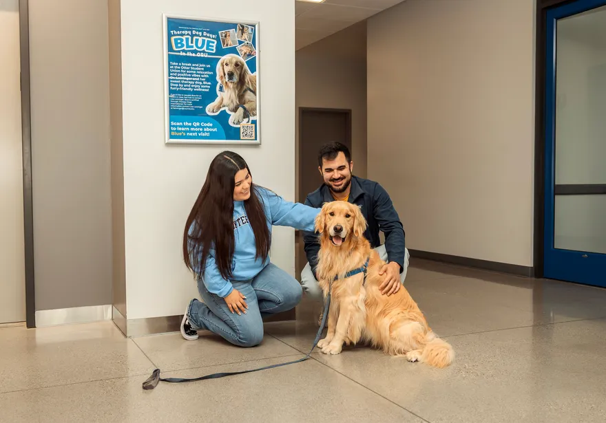 Two Students In front of the elevator inside the OSU one male one female petting a golden retriever therapy dog named Blue.