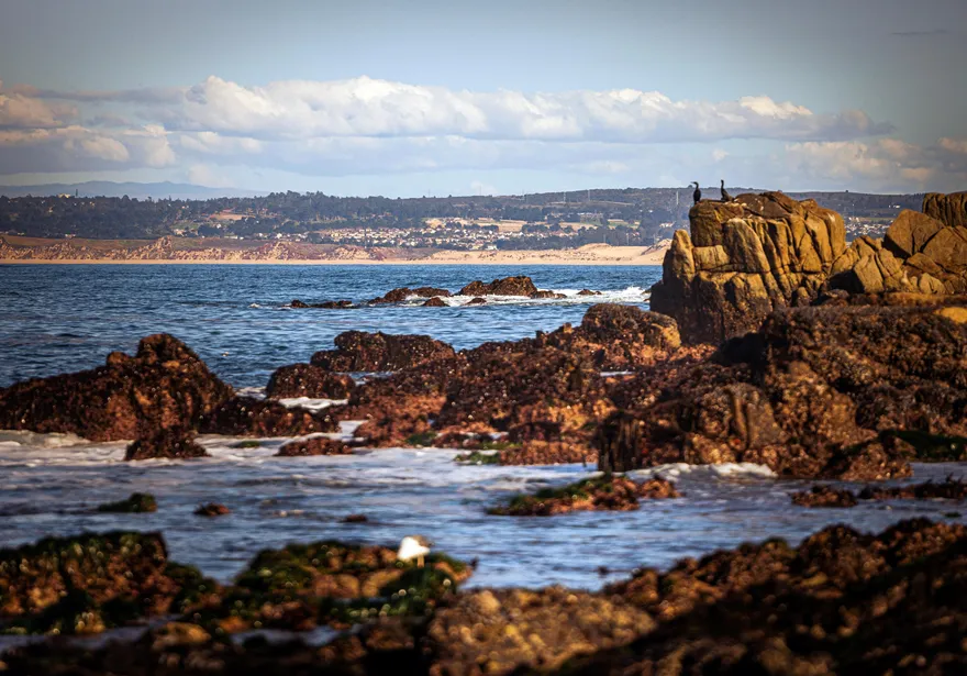 Rocky beach and sea water